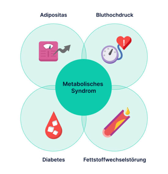 Die 4 Risikofaktoren des metabolischen Syndroms
