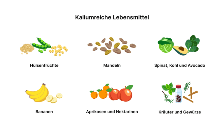 Kalium-Lieferanten Grafik