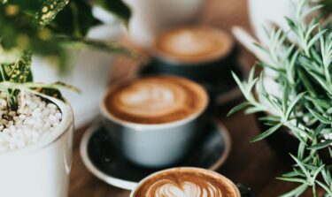 Drei Tassen Cappucino sthen auf einem Tisch zwischen Blumendeko.