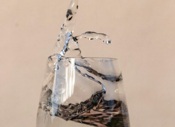 Ein Glas Wasser mit Chiasamen.