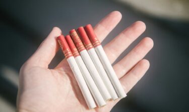 Ein Bildausschnitt, auf dem mehrere Zigaretten auf einer Handfläche liegen.