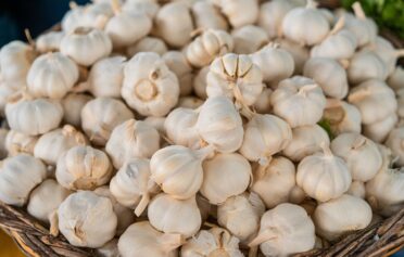 knoblauch