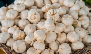 knoblauch