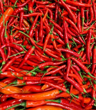 Viele unterschiedliche rote Chilis.
