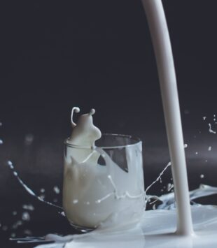 Glas Milch