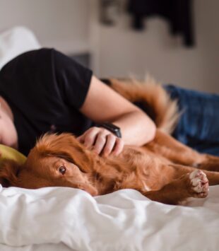 Mann schläft neben ihm Hund