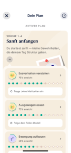 Personalised plan screen