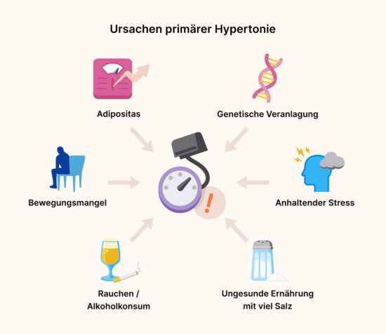 Eine Graphik, die die primären Hypertonie Ursachen visuell darstellt.