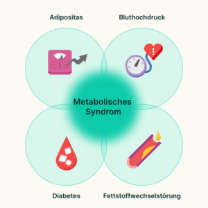 Die vier Krankheiten beim metabolischen Syndrom