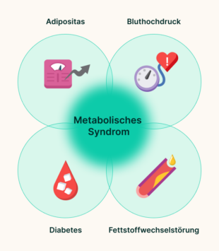 Die vier Krankheiten beim metabolischen Syndrom