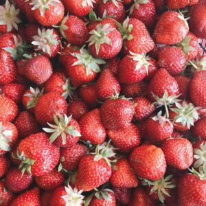Frische Erdbeeren