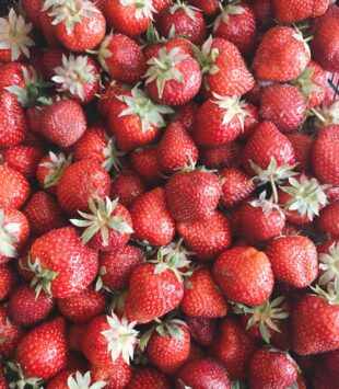 Frische Erdbeeren