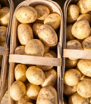 Drei Körbe voll mit frischen Kartoffeln.