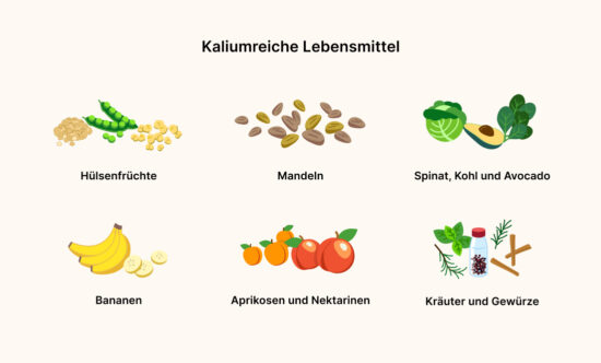 Eine Grafik, auf der kaliumreiche Lebensmittel gezeigt werden.