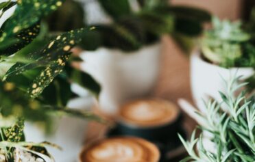 Drei Tassen Cappucino sthen auf einem Tisch zwischen Blumendeko.
