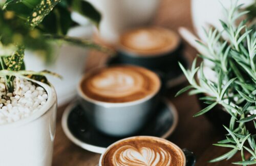 Drei Tassen Cappucino sthen auf einem Tisch zwischen Blumendeko.