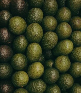Eine Nahaufnahme einer Kisten mit grünen Avocados.