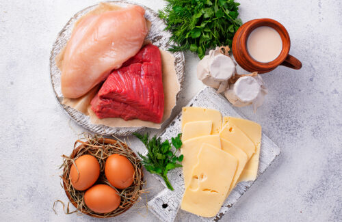 tierische proteinquellen