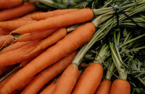 frische möhren