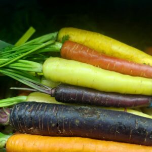 frische möhren