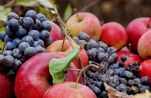 Apfel und Trauben