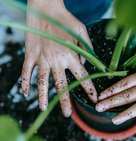 Gartenarbeit