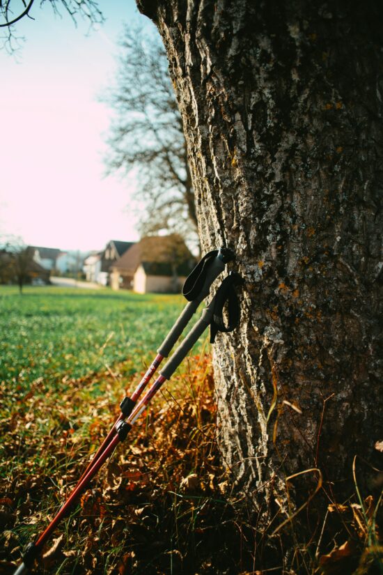 Wanderstöcke lehnen an einen Baum