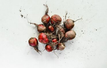 Rote Beete