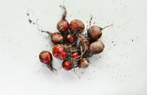 Rote Beete