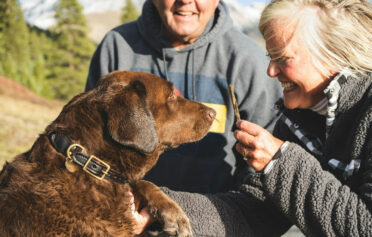 Couple outside with a dog on a cold day