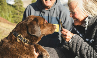 Couple outside with a dog on a cold day