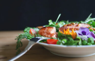 Salmon salad on a plate