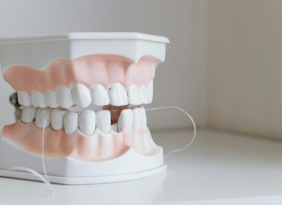 Plastic dental model with teeth and gums demonstrating dental floss use on a white surface
