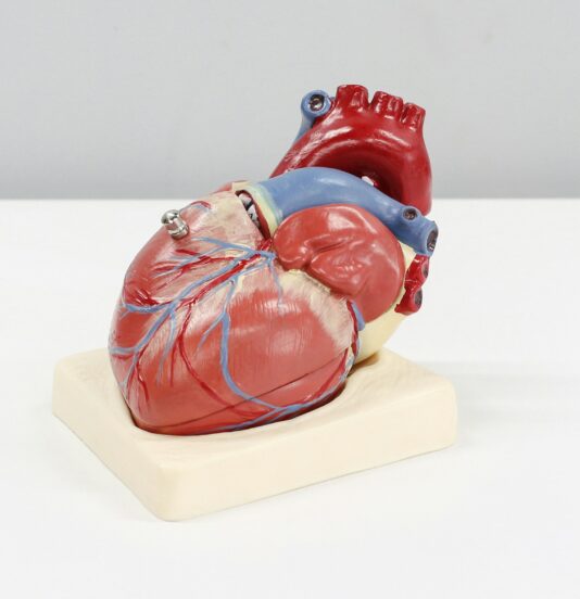 What Is Normal Blood Pressure For Your Age Oviva UK what-is-normal-blood-pressure-for-your-age-oviva-uk