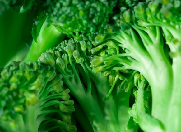 Close-up of fresh green broccoli florets
