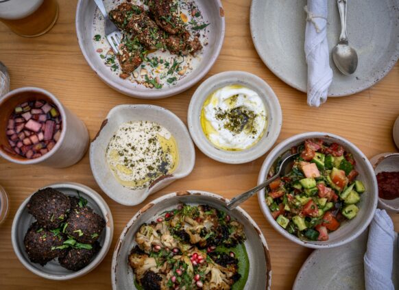 Top view of assorted Middle Eastern vegetarian dishes including hummus, labneh, falafel, grilled vegetables, and salad