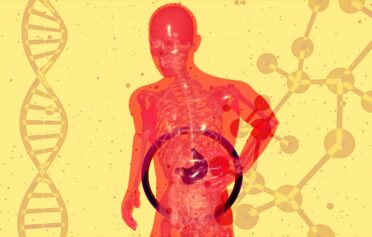 Abstract illustration of human digestive system with DNA strands and molecular structures