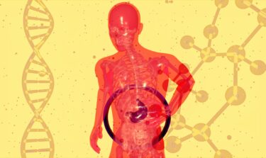 Abstract illustration of human digestive system with DNA strands and molecular structures