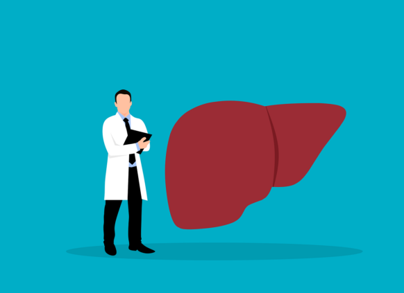 Doctor examining a large illustrated human liver on a blue background